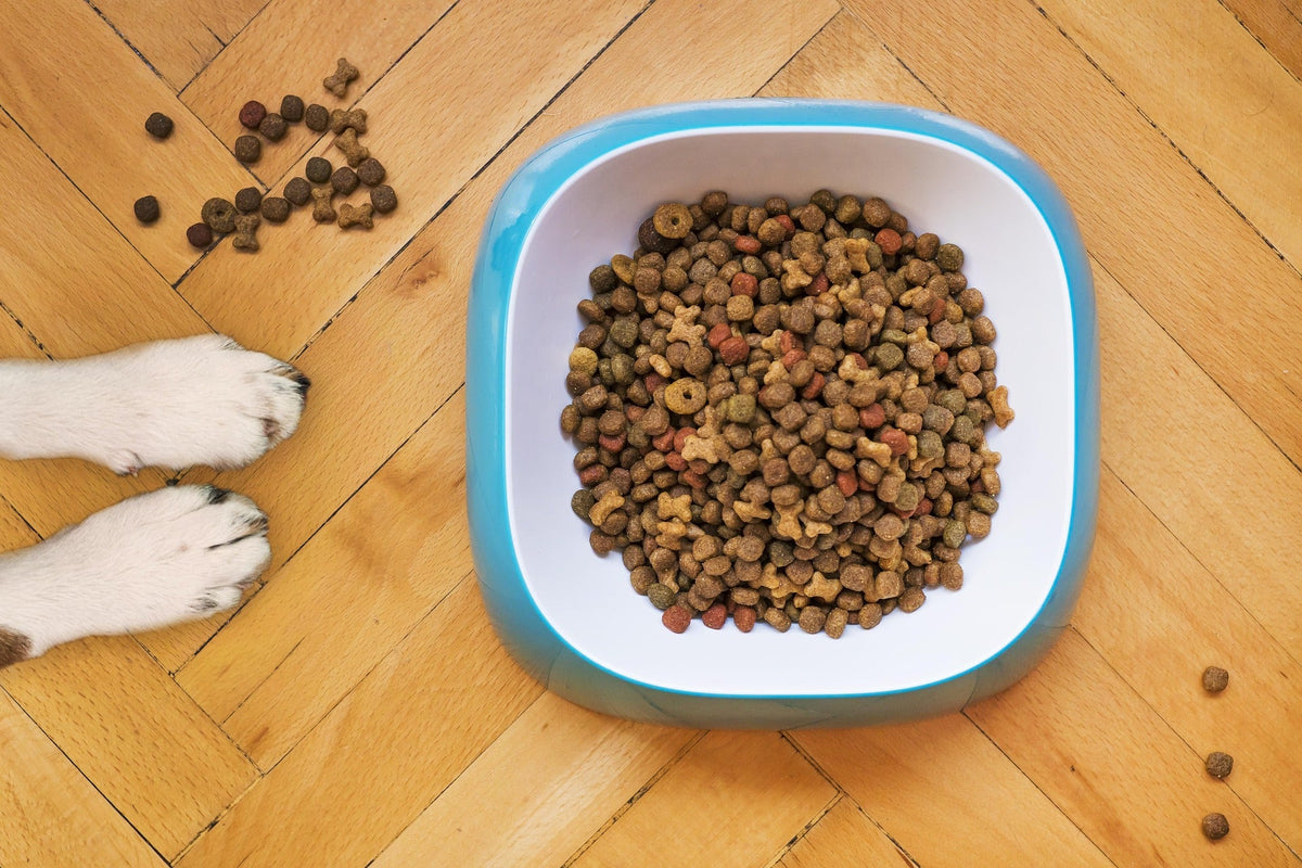 Dog Dry Food