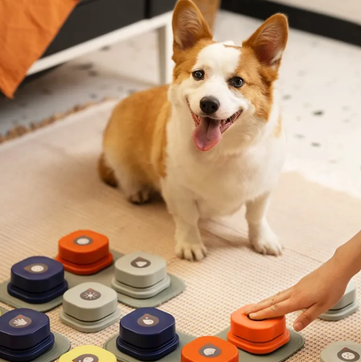 Recordable Pet Talking Buttons