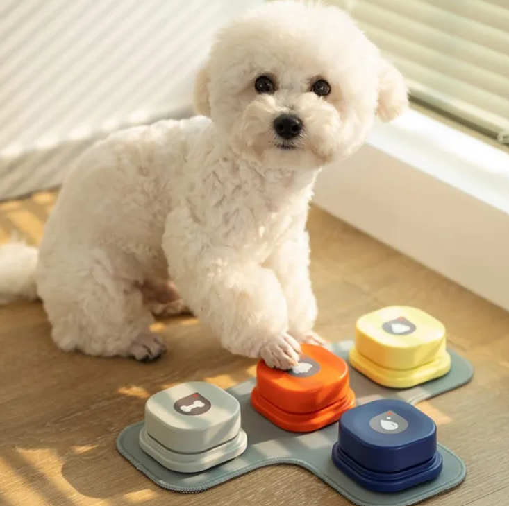 Recordable Pet Talking Buttons