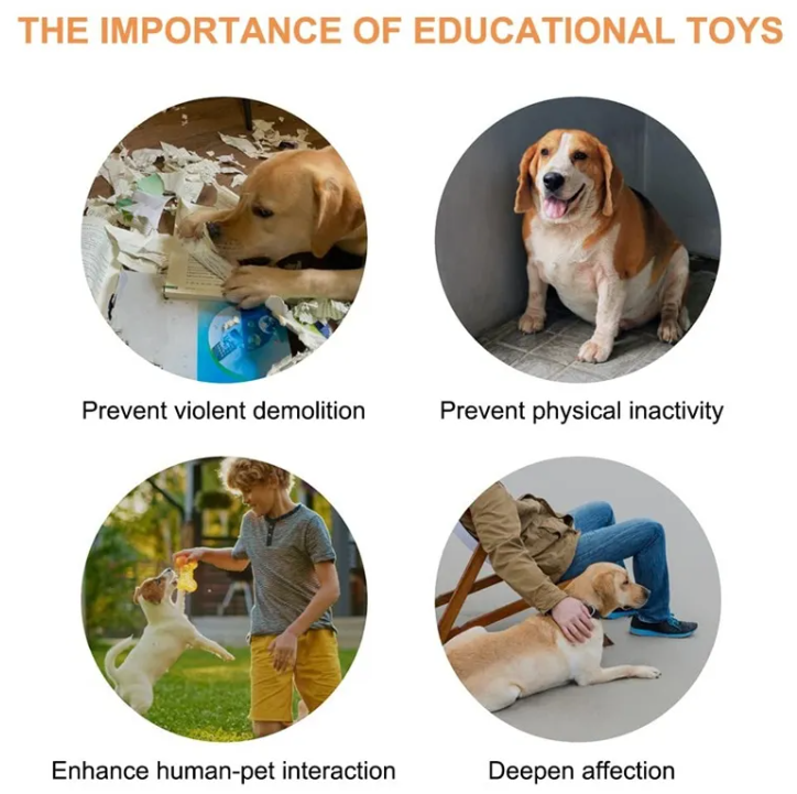 Recordable Pet Talking Buttons